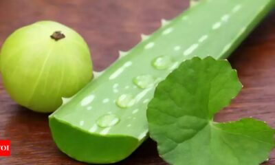 Aloe Vera and Amla