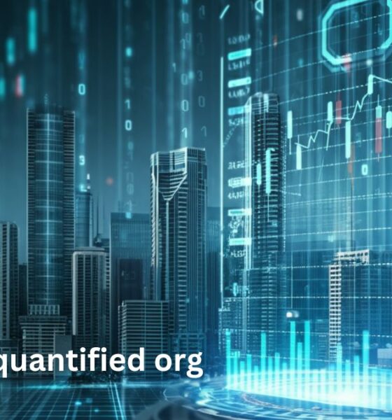 www disquantified org