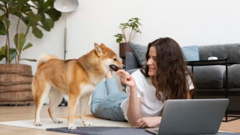 Puppygirlxd: The Rise of a Canine-Inspired Internet Sensation